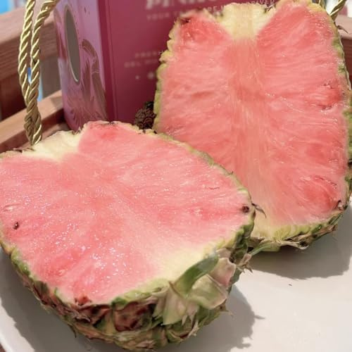 semi di ananas, colonnari resistenti per il giardino acquistare vecchie varietà nani 55pcs