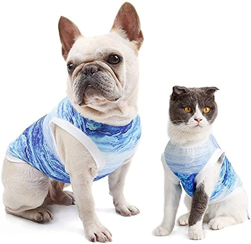 SoulQool Kühlweste für Hunde – Sommer-Weste, Geschirr, atmungsaktive Kühljacke für Hunde, gegen Angstzustände, Sonnenschutz, Hundemantel für Spaziergänge im Freien, Training, Wandern, Jagd (XS)