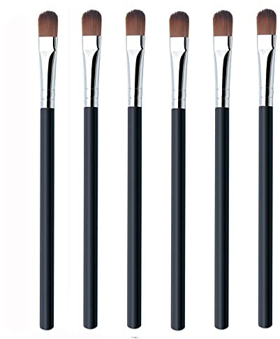 WanFengXue 6Pcs Eyeshadow Brushes, Long Plastic Handle Eye Makeup Tools, Soft Nylon Bristles Applicators for Blending Defining Smudging Shading
