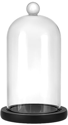 PH PandaHall Cloche Glass Dome Black Wooden Base Bell Jar Cloche Bottles Display Case Clear Glass Display Dome with Top Handle for Plants Flower Clay Succulents Antique Collectibles, 12.5x21.5cm
