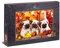 Ulmer Puzzleschmiede - Puzzle Lovely puppies: 1000 pieces jigsaw puzzle - Cute animal baby picture of three cute pug puppies for dog lovers
