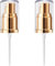 2 Gold Foundation Bottle Pump Heads - Replacement Accessories for Dw Foundation Bottle