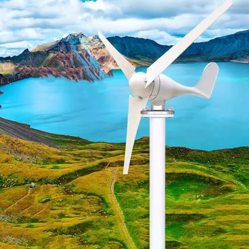 Pala Eolica Attrezzature per Produttori di Elettricità Vento Portatili, Generatori del Vento Dell'illuminazione da Strada All'aperto con 3 Lama, Turbina Eolica da 1000w per L'energia Domestica