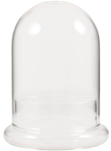 Ciieeo Vase Verre Transparent Miniature pour Plantes Accessoire Décoratif pour Bureau Cloche Verre Transparent