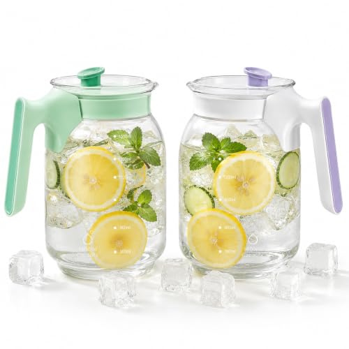 2 stycken glaskaraff med lock, 1,8 l vattenkaraff av glas med filter, vattenkaraff stenkvartsglas, glaskaraff vattenmugg, värmebeständig karaff för varma och kalla drycker och hemlagad
