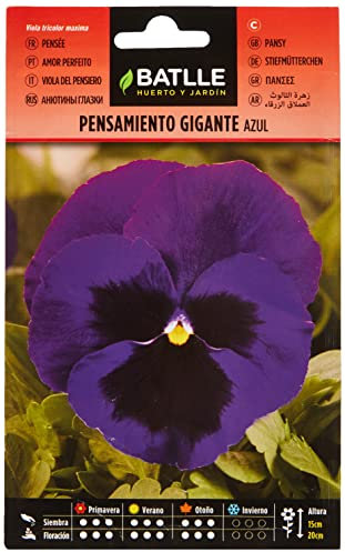 Semillas Batlle - Pensamiento Gigante AZUL