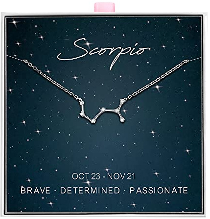 ALoveSoul 925 Sterling Silver Constellation Horoscope Zodiac Necklace, Gift for Women Girls