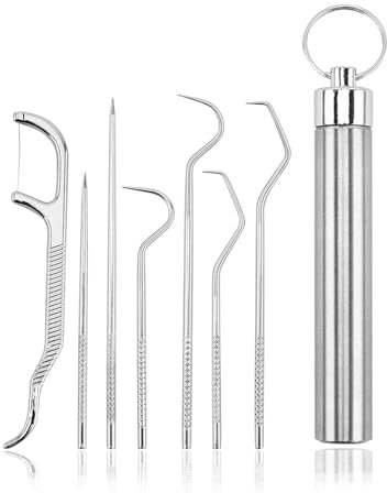 YiYFiT Lot de 7 cure-dents en acier inoxydable 304 de qualité alimentaire - Sac portable argenté - Porte-cure-dents réutilisable en métal avec un tube - Pour pique-nique en plein air, camping et