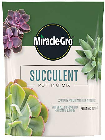 Miracle-Gro Succulent Potting Mix: Fertilised Soil with Premium Nutrition for Indoor Cactus Plants, Aloe Vera and More, 4 qt.