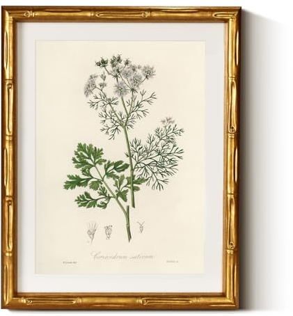 InSimSea Gold Bamboo Framed Canvas Wall Art, Plants Fern Botanical Paintings, Antique Vintage Picture Frame with Mat, Victorian Home Wall Decor for Living Room Kitchen Dining, 11x14inch