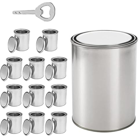 Generisch Vasi vuote con coperchio, scatole di registro di verniciatura con coperchio, contenitori per la conservazione della vernice senza rivestimento, 0,5 l, vuoto in metallo 12 volte, versatili