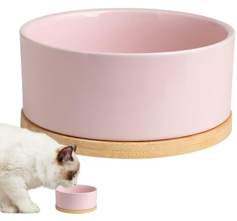 Mangiatoia riscaldata per acqua, in ceramica di grande capacità, ciotole termiche alimentate tramite USB, multifunzionale per animali domestici, autoriscaldante per cani, gatti
