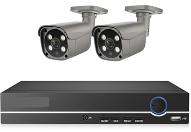 Sistemi di telecamere CCTV, Kit di videosorveglianza di sicurezza 8CH 5MP Visione notturna a colori CCTV impermeabile for esterni Telecamera IP POE bidirezionale(None,8CH NVR (2Cameras))