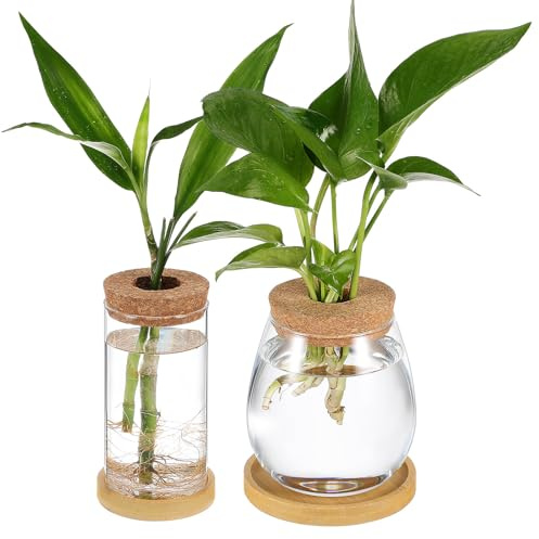 SHINEOFI Vases Hydroponiques en Verre Borosilicaté Lot de 2 Plateau et Bouchon Liège, Pots de Propagation pour Plantes d'Intérieur et Mini Jardins Décoratifs
