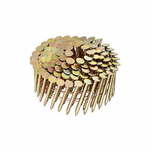 DEWALT DNR3119HDZ Coilnagel DNR 19mm 1.2kSt. FVZ, Mehrfarbig, 6 Stück