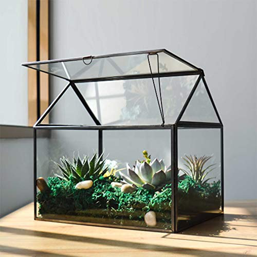 Großes Glas Pflanze Terrarium - Haus Sukkulenten Glas Terrarium Kit mit Lippe Glas Gewächshaus Terrarium für Pflanze 12.26x9.15x10.9 Zoll (Schwarz 2)