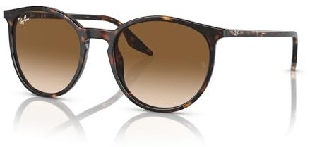 Ray-Ban Runde Sonnenbrille Rb2204