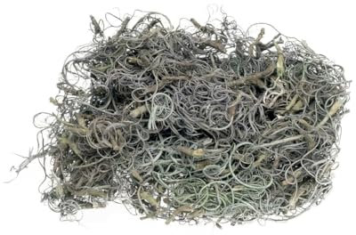 NaDeco Curly Moos in Grau, Gewicht ca. 50g | Curlymoos | Tillandsia Moos | Spanisches Moos | Moos-Deko | Deko-Moos | Bastelmoos | Dekomoos | Bastel-Moos | Moos zum Basteln
