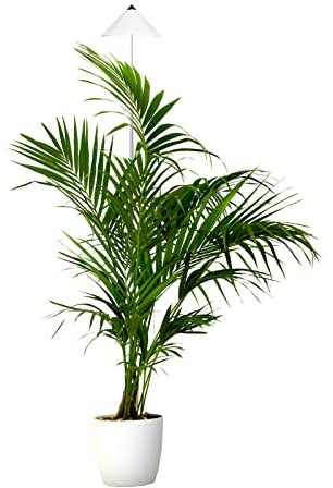 Parus by Venso SUNLiTE XL LED Vollspektrum Pflanzenlampe Weiß 25W Indoor Plants Pflanzen Beleuchtung, mit ausziehbarem Teleskopstab, Parus Pflanzenlampe für große und kleine Zimmerpflanzen