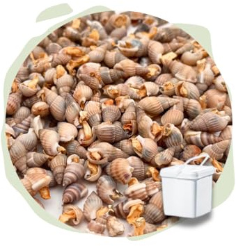 Warnick's Naturhäppchen Schnecken gefriergetrocknet - 500 g im Eimer | Naturfutter für Zierfische, Garnelen & Krebse - Gefriergetrocknet & naturbelassen - Wertvolle Nahrungsergänzung