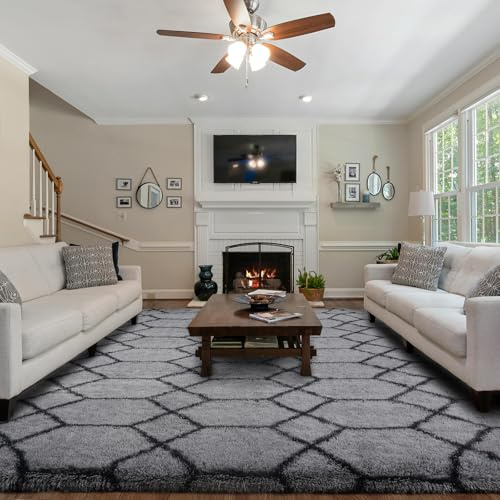 FVVRAX Large Rugs Living Room, Non-Slip Washable Geometric Rugs for Bedroom