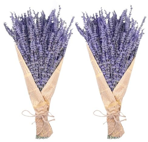 Uieke Dried Lavender Bundles, Natural Dried Lavender Flowers 280-300 Stems 16“ for Home Weeding Decoration Flower Arrangements Home Fragrance 2 Bundles