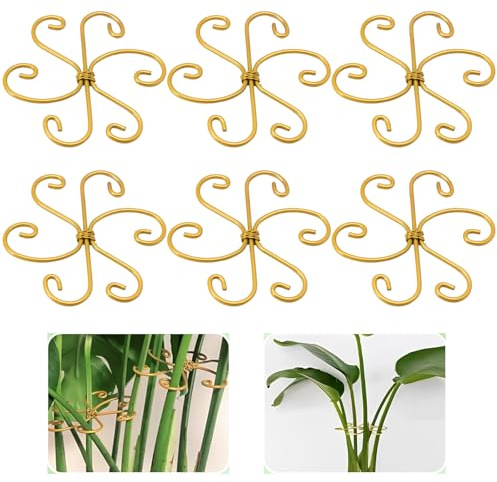 Jiozermi 6 supporti per steli per piante, in metallo, Monstera, supporto per piante rampicanti, per stabilizzazione e supporto per la cura delle piante da interno