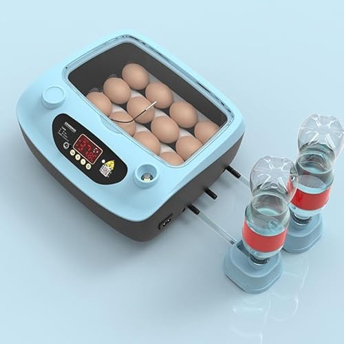 ME JO Automatic Egg Incubator for 12 Eggs – Egg Candling Torch Function with LED Display & Humidity Control | 80W Power | Ideal Egg Incubators for Hatching Eggs for Chicken, Duck, Quail