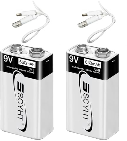SSCYHT Batterie Li-ION 9 V Batterie Rechargeable USB 650 mAh Batteries Lithium pour détecteur de fumée 9 V Batteries carrées avec câble de Type C, Charge Rapide en 1 h,9v650mah 2pack