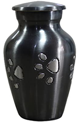 eSplanade Urna de cremación de Mascotas Urnas conmemorativas Contenedor Frasco para recipientes | Urna De Latón | Urna de Metal | Urna de entierro | Recuerdo conmemorativo (Recuerdo)