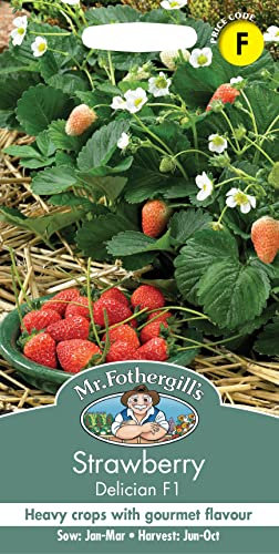 Mr Fothergill's 18126 Vegetable Seeds, Strawberry Delician F1, Red