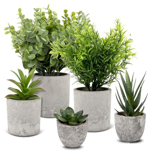 5 Stück Kunstpflanzen wie Echt, Künstliche Pflanzen Klein, Dekopflanzen, Kunst Pflanzen Künstlich Sukkulenten, Fake Plant, Plastikpflanzen, Schlangenzunge, Eagle Claw Aloe, Eukalyptus für Schlafzimmer