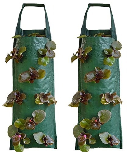 Mandeep 2er Pack Pflanztasche Hängend Vertikal Pflanzsack Pflanzbeutel Erdbeere Grow Tasche Atmungsaktiv