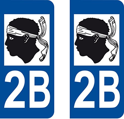 SAFIRMES 2 Stickers Autocollant Style Plaque Immatriculation département 2B