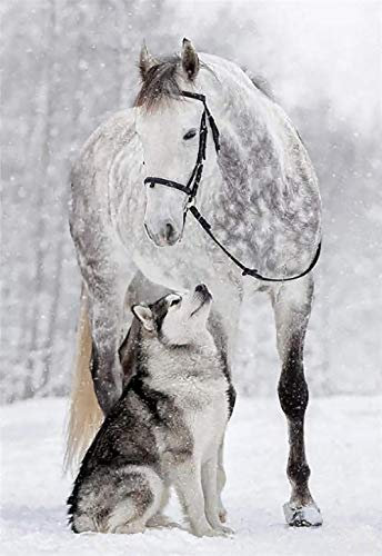 YKCKSD Puzzle 1000 Teile, 3D Puzzle Erwachsene Puzzle Landschaft, Wolf Und Pferd Im Schnee, Valentinstag A2