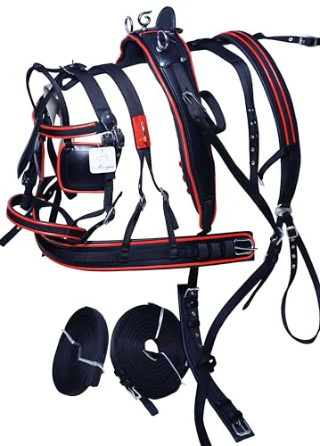 Aces Equine Körsele i nylon för hästvagn, svart och röd, full storlek, cob, ponny (ponny)