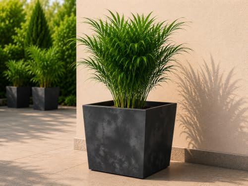 Gordanluk Square Planter Concrete effect plant pot Designed Flowerpot with plant riser extra large plant pots indoor plant pots outdoor flower pot (Concrete Black, 30cm x 30cm)