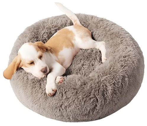 Domarex Rundes Hundebett für Hunde und Katzen 60 cm - Weiches, Flauschiges Kissen mit erhöhten Rändern - Anti-Rutsch Boden - Silikonfüllung für Komfort und Wärme - Pflegeleicht - Beige