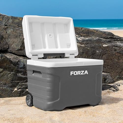 FORZA IceGuard - Hielera portátil con ruedas con asa y ruedas, mantiene el contenido frío durante 72 horas, ideal para playa, barbacoa o deportes de equipo [20L 41L 47L 98L] (capacidad de 20L)
