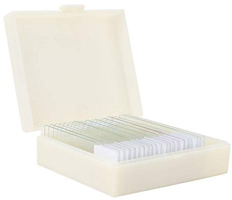 Mikroskop-Objektträger-Scheiben-Proben-Bio-Proben-Set für Bakterien, 20-teilig, für Slicer für Slicer Vorbereitete Mikroskop-Objektträger, Bakterien-Proben