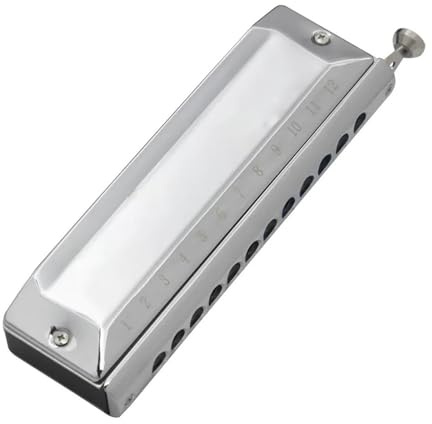 Diatonische Mundharmonikas Chromatische Mundharmonika Holzblasinstrument