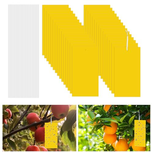 Flintronic 30 Pack Yellow Sticky Fly Traps,Fruit Fly Traps,Fly Paper Stickers,Double-Sided Yellow Sticky Traps,Fruit Fly Killer for Insect against Fungus Gnats, Whiteflies, Aphids, Leafminers,etc