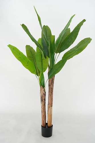 Pianta Artificiale di Banano con Corteccia Naturale, Foglie in PVC, Varie Misure, per Interni Residenziali e Commerciali (Chiquita 150 cm - 2 tronchi)