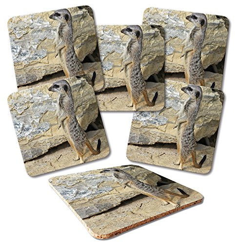 ADDIES Glas-Untersetzer 6-TLG.Set Bedruckt Motiv ERDMÄNNCHEN-02 in hochwertiger Klarsicht-Geschenkbox und Korkrückseite, Tier-Motiv