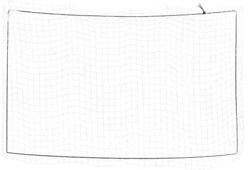 Homgoday Anhängernetz mit Gummiseil, Ladungssicherungsnetz Abdecknetz für Anhänger, Transportnetz Gepäcknetz, Anhänger Ladungssicherung, Abdecknetz Weiß 4x2,5 m PP