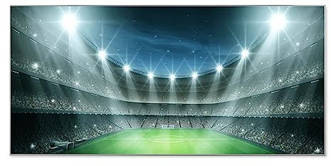 banjado® Magnettafel silber 78 x 37cm / Magnetwand aus Metall/Magnetpinnwand Memoboard/Pinnwand Magnettafel Küche, Büro, Kinderzimmer inkl. 4 Magnete & Montageset Motiv Arena