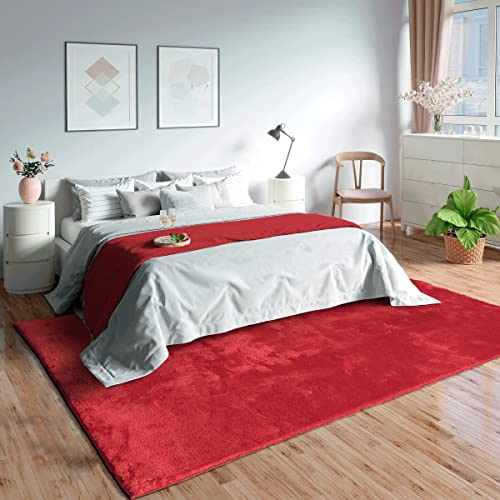Mia's Teppiche Olivia Wohnzimmer/Schlafzimmer Teppich - waschbar - 80x150 cm, Rot