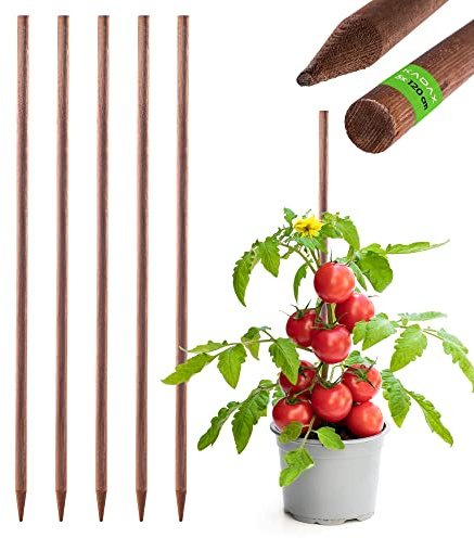 KADAX Enrejado de madera, varillas impregnadas, varilla para plantas trepadoras, resistente a la intemperie, varilla, enrejado, estacas de madera, estacas (5, 28 mm x 120 cm)