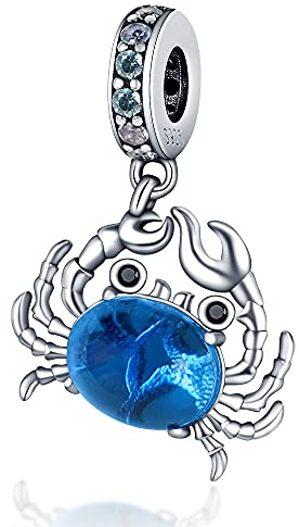 Pandach Damen Charm Anhänger für Armband 925 Sterling Silber Charms Beads passend für Armband und Halskette, Kompatibel mit Europäischen Armbänder für Frauen Mädchen