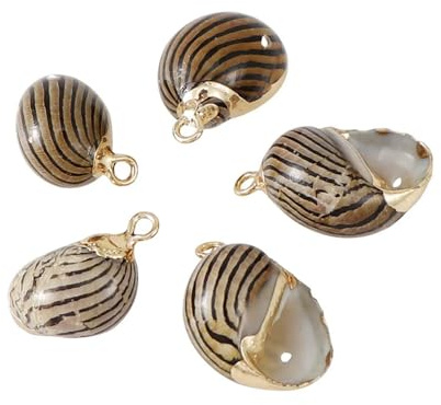 Coquilles de mer Coquilles de mer mixtes, Coquillages for l'artisanat 10 pièces/ensemble coquillages naturels artisanat en métal ornements for pendentif coquillages collier pendentif fabrication de pe